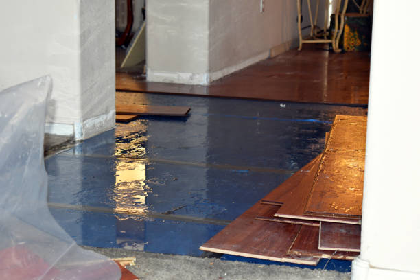Professional Flood Cleanup technician working in Washburn, IL